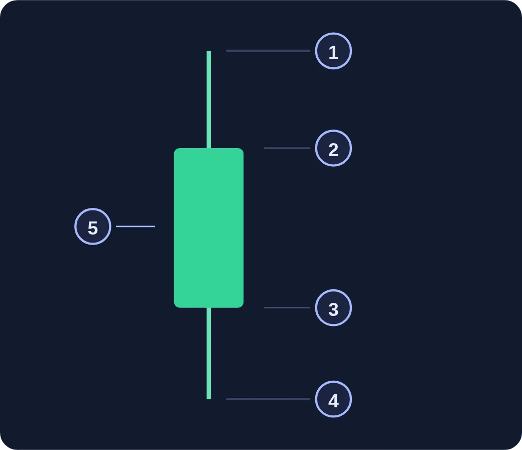 The structure of a candle whose close is above its open. The upper shadow marks the high, the top of the body is the close, the bottom of the body is the open, and the lower shadow marks the low.